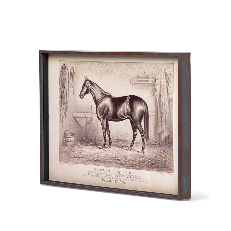 Prized Race Horse Framed Prints
