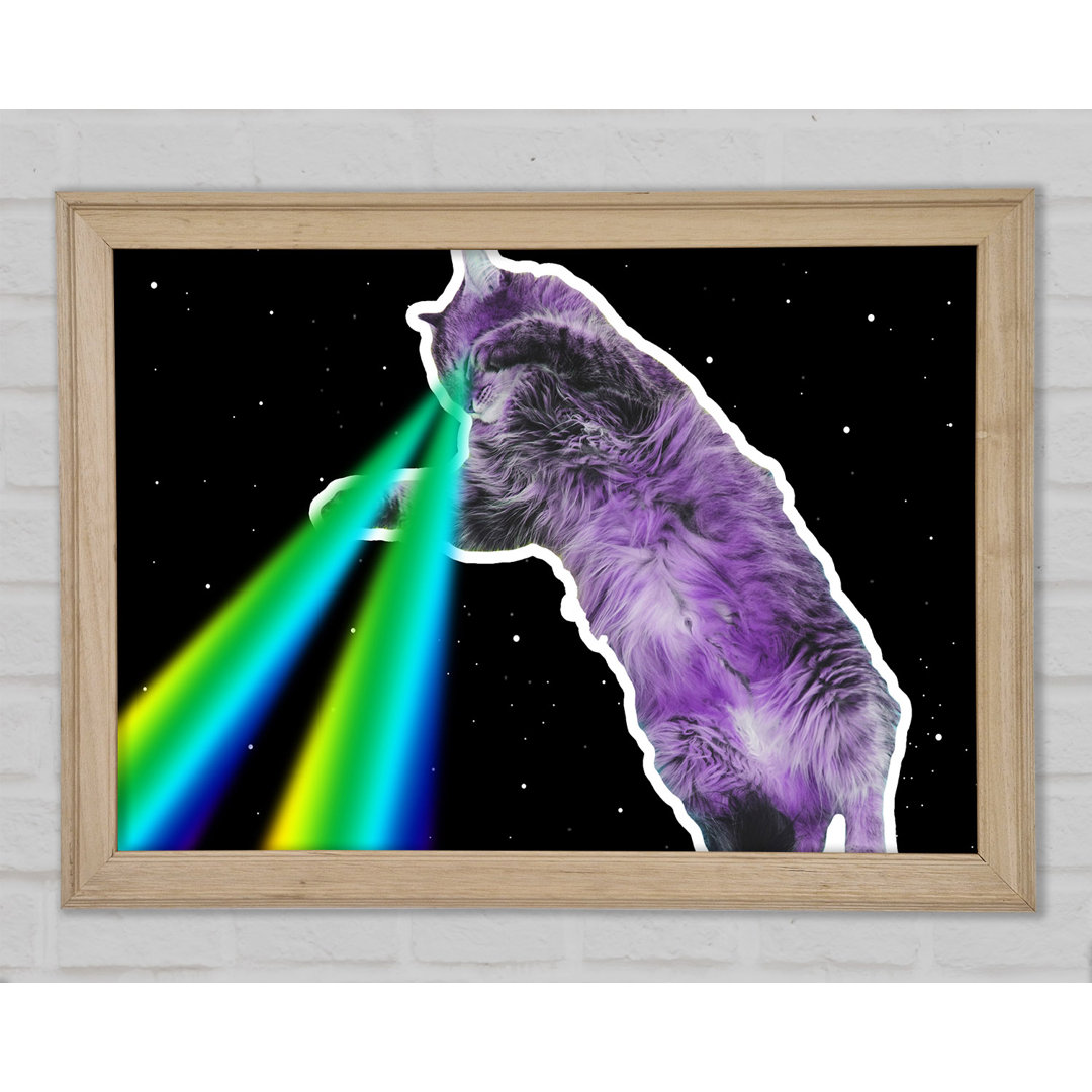 Katze Lazer Beam Space Gerahmter Druck