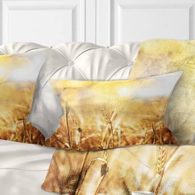 Coussin Brown