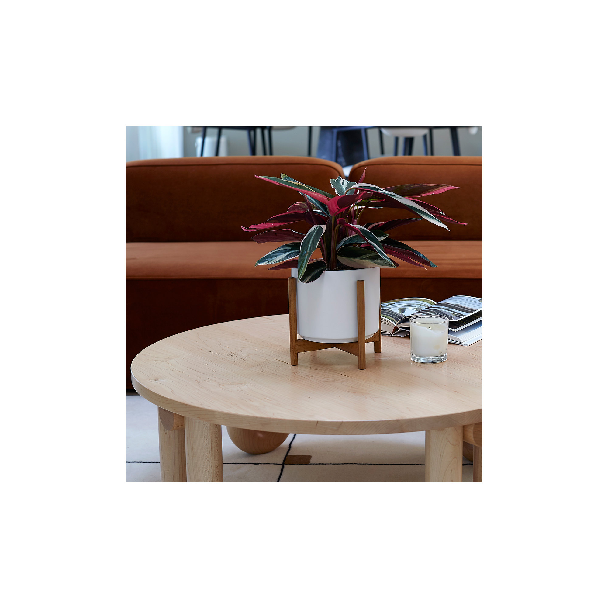Evantia Ceramic Pot Planter