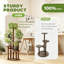 Plant Stand