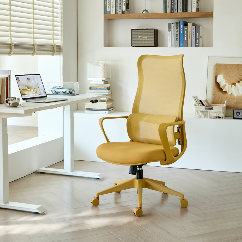 High Back Ergonomic Mesh Office Chair with Adjustable Lumbar Support, Rocking Function, Swivel Task Chair for Home Office, Computer Desk & Study Room