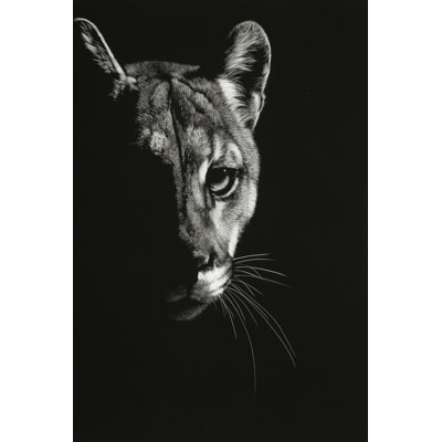 Black Glimpse IV