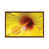Classic Wood Floater Framed is unavailable