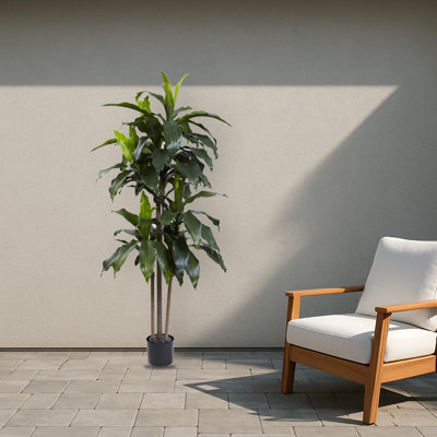 Dracaena Artificial Plant