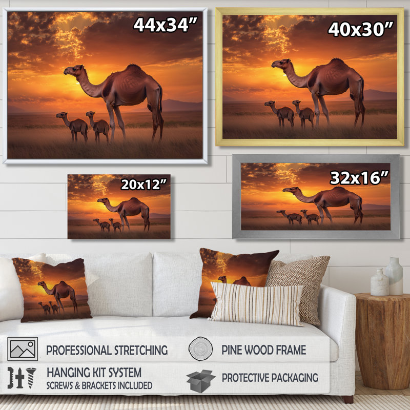 Afrique, paysage de chameaux au coucher du soleil - art mural imprimé chameau, H 12 po x l 20 po, Noir