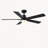 Modern 52" Ceiling Fan with Light and 5 Blades-109078894