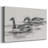 Geese Study II-Gallery Wrapped Canvas-581157475