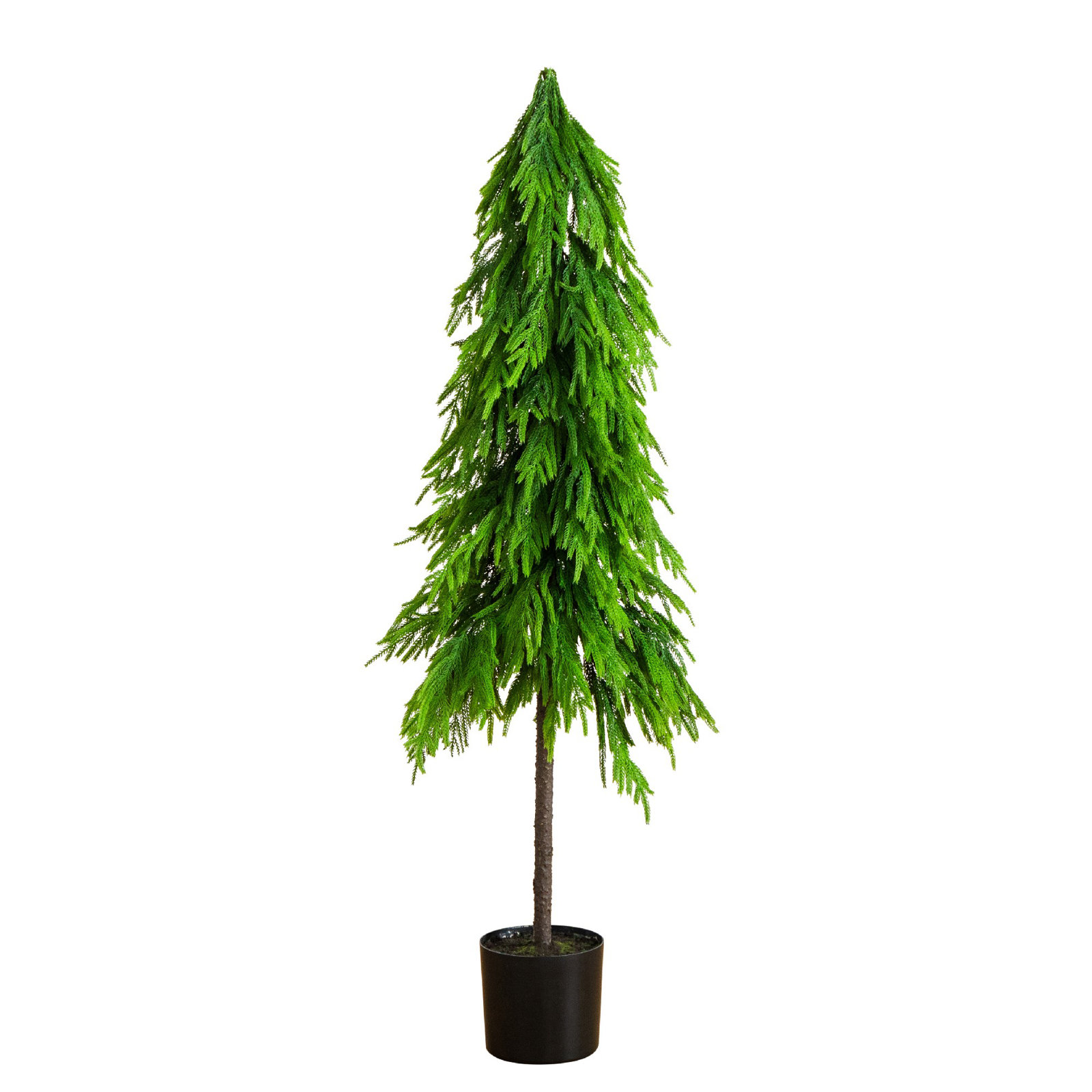 5' Pine Tree, 5" H x 18" W x 7" D