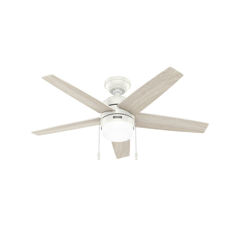 44" Bardot 5 - Blade Ceiling Fan With Lights and Pull Chains, White