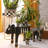 Courtly Check Herb Pots