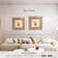 Aletra corail Medley Shell III-111895263