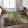 Machine Washable Indoor/Outdoor Cinead ACN1683 Beige Rug