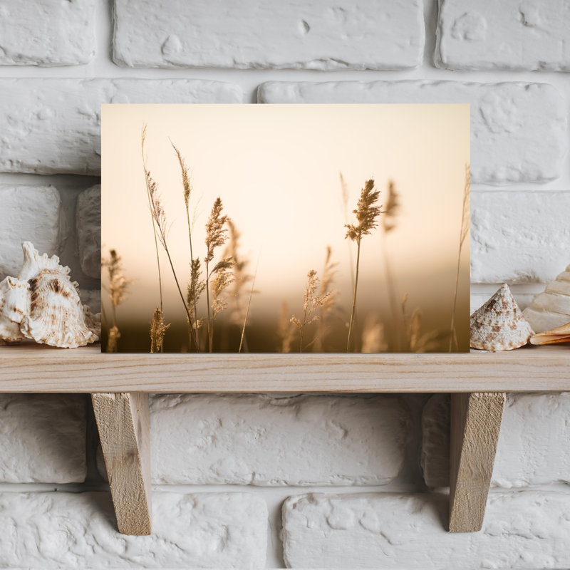 Doux roseaux dorés abstraits, paysage contemporain, nature, art mural, H 18 po x l 12 po