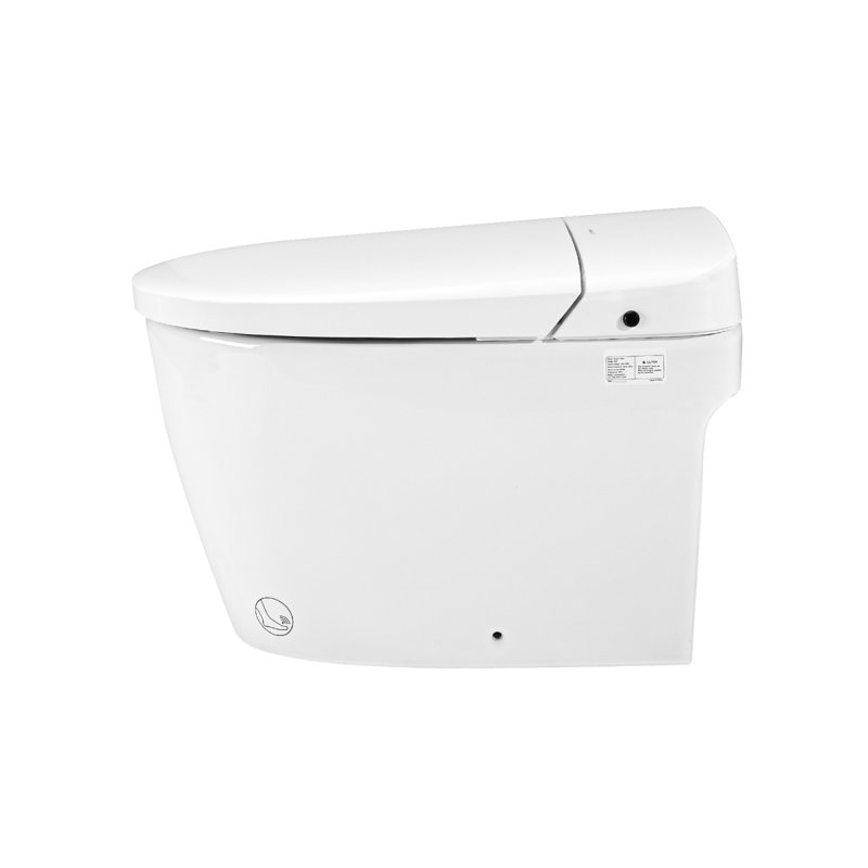 Smart Toilet Bidet Combo With Selfcleaning Nozzle, Heated Seat, Night Light, Knob Control, Power Outage Flushing, Soft Close, Auto Flush, With Remote Control