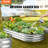 Carlianne Metal Raised Garden Bed
