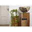 Maxille Solid Wood Plant Stand 3 Tier Set of 3-16764474