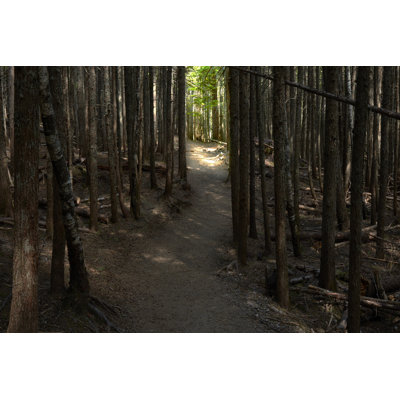 Country Road Panorama VII by James McLoughlin - Photograph