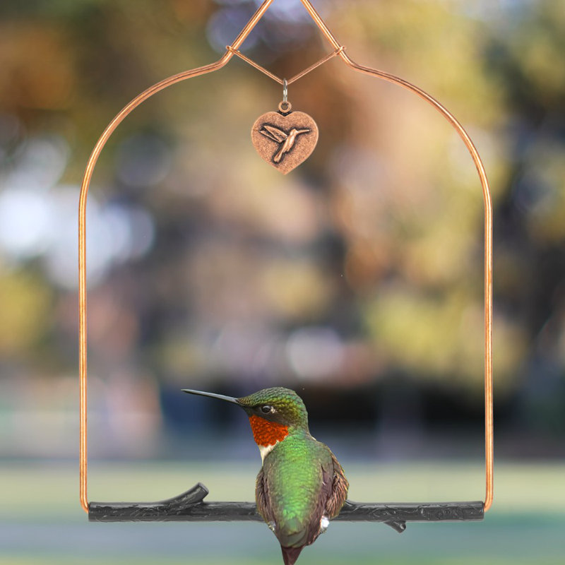 Balançoire colibri en cuivre Alyis, Perchoir noir rustique
