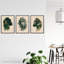No Frame Print-1803435202