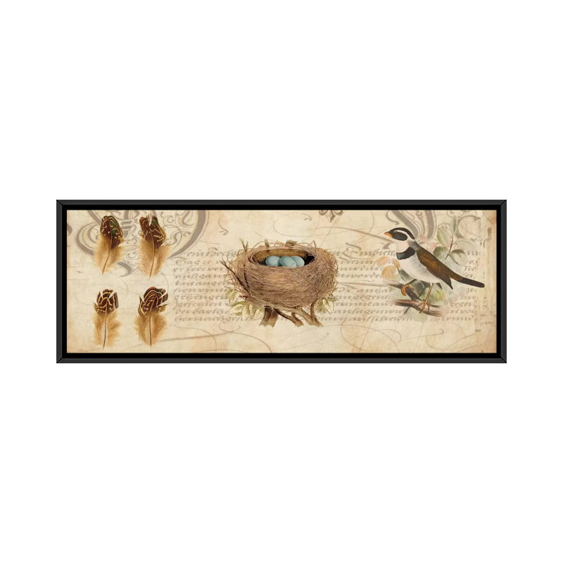 «Nesting I» par Deborah Devellier, impression sur toile tendue, H 12 po x l 36 po x P 1,5 po, Cadre noir