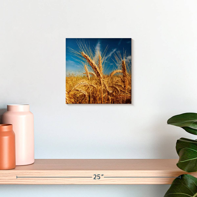 Harnek Spiky Wheat Ears, 10'' H x 10'' W
