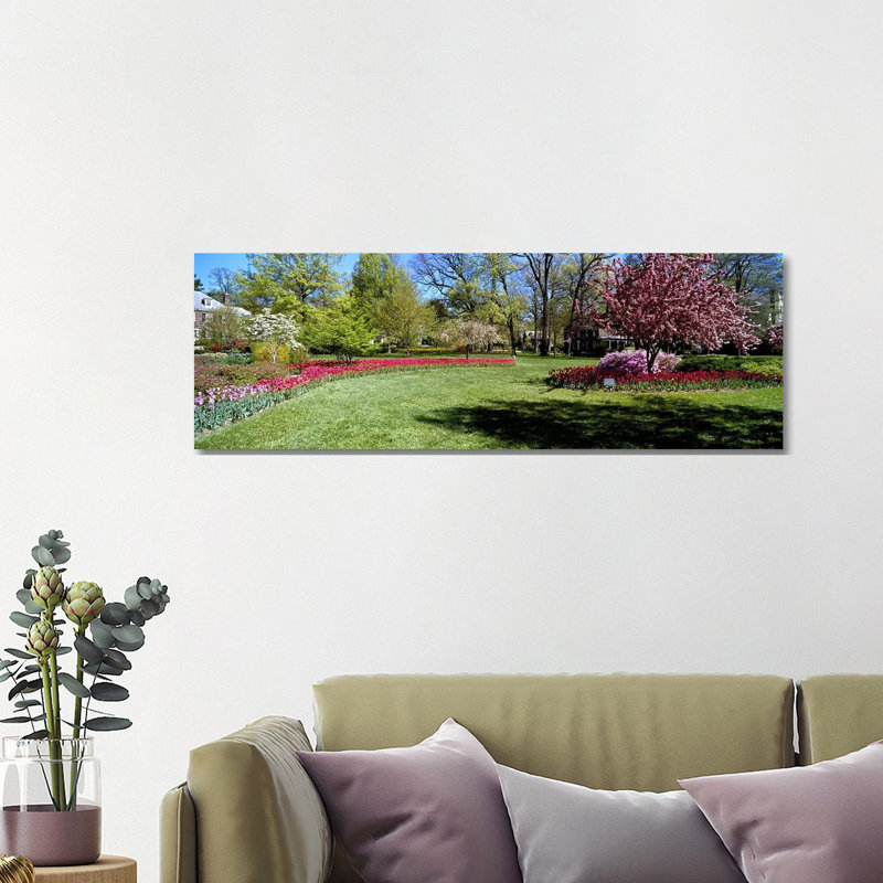 Tulips And Cherry Trees In A Garden, Sherwood Gardens, Baltimore, Maryland, USA - Wrapped Canvas Panoramic Print