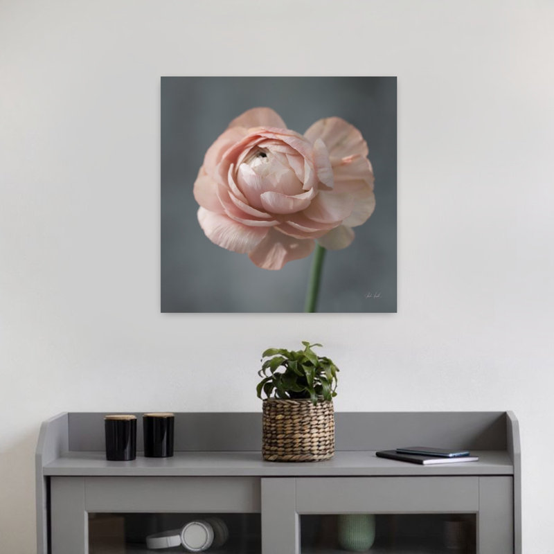 Renoncule romantique, art floral contemporain, H 18 po x l 18 po