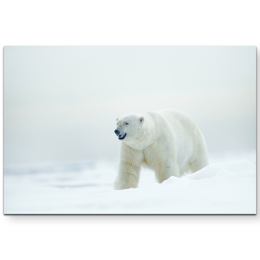 Leinwandbild Eisbär im Schnee