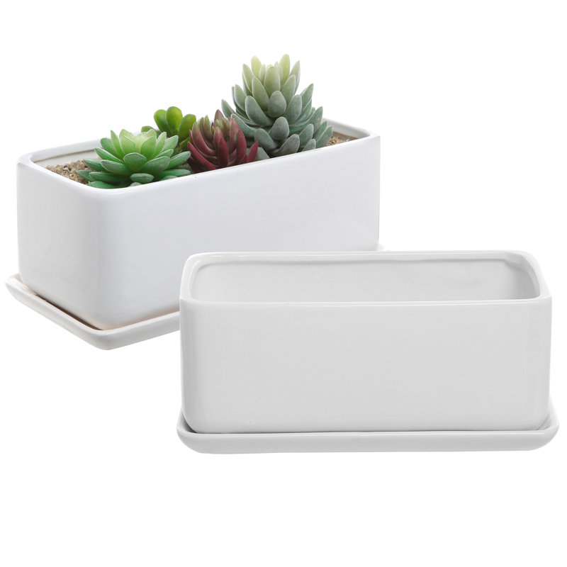 Ceramic Pot Planter