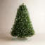 Sapin de Noël Fraser pré-éclairé-91905253