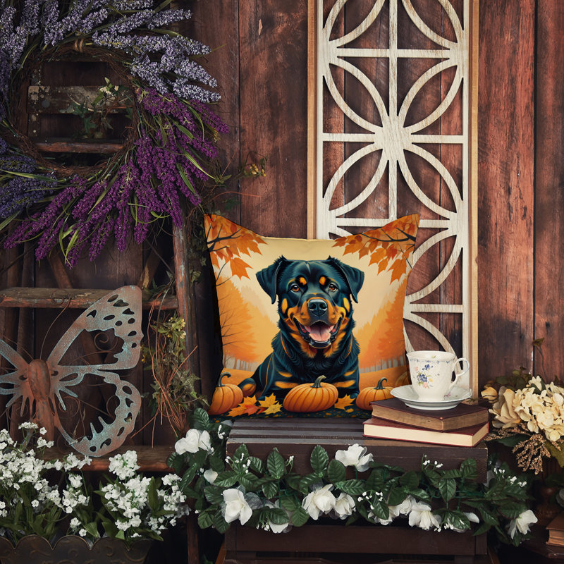 Other/No Pattern Outdoor Throw Pillow, 14" x 14"