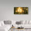 Art mural sur toile tendue - Art mural Leif Londal «Light In The Forest Shining» pour le salon, la chambre à coucher ou le bureau - 10 x 19-30314354