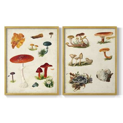 Reproduction encadrée de qualité supérieure de la variété champignon vii - prêt à accrocher - pas de clous requis - pas de clous requis