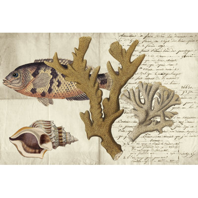 Sealife Journal I