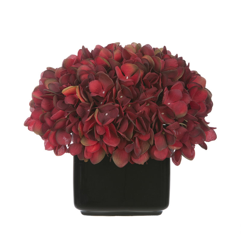 Hortensia artificiel dans un petit cube noir en céramique, Bourgogne