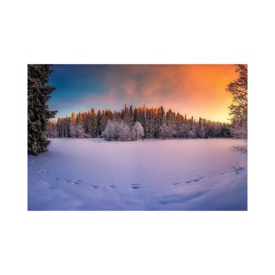 Winter Light by Lauri Lohi - Wrapped Canvas Print