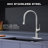 Single Handle Kitchen Faucet with Pull-Down Sprayer