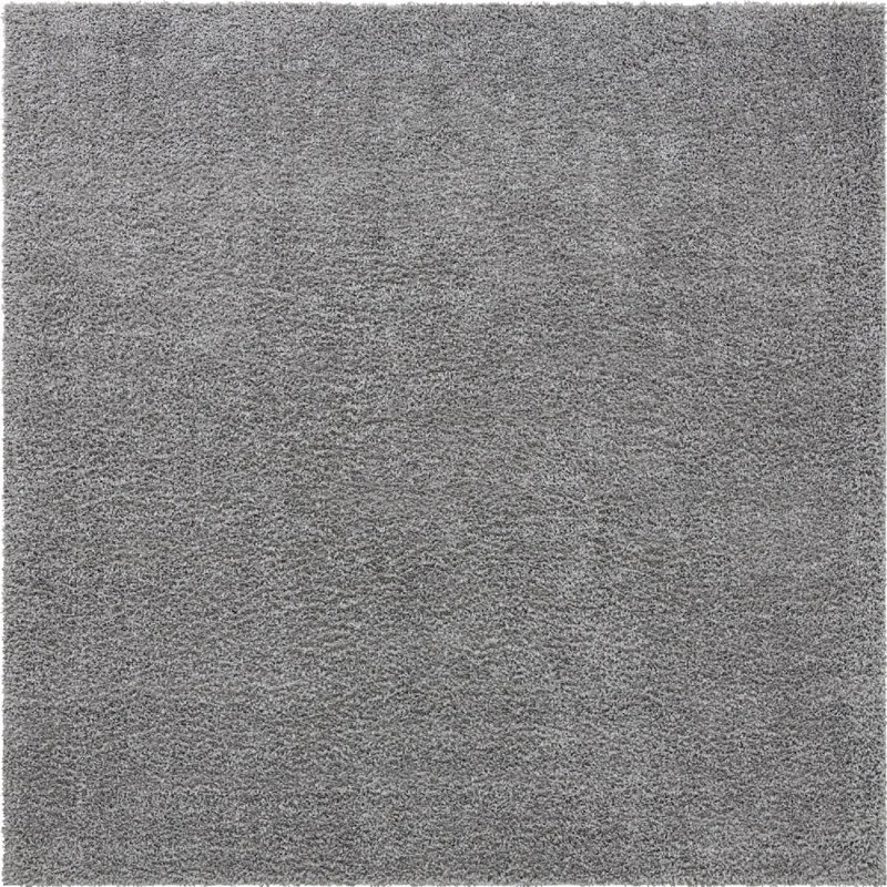 Carlosadrian Oriental Indoor Rug, Square 10'