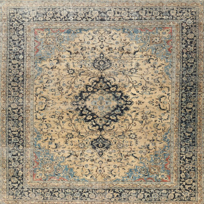 Evie-Mai Oriental Indoor Rug