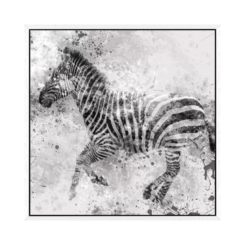 Zebra II by Carol Robinson - Print on Canvas, White Framed, 45.72 cm H x 45.72 cm W