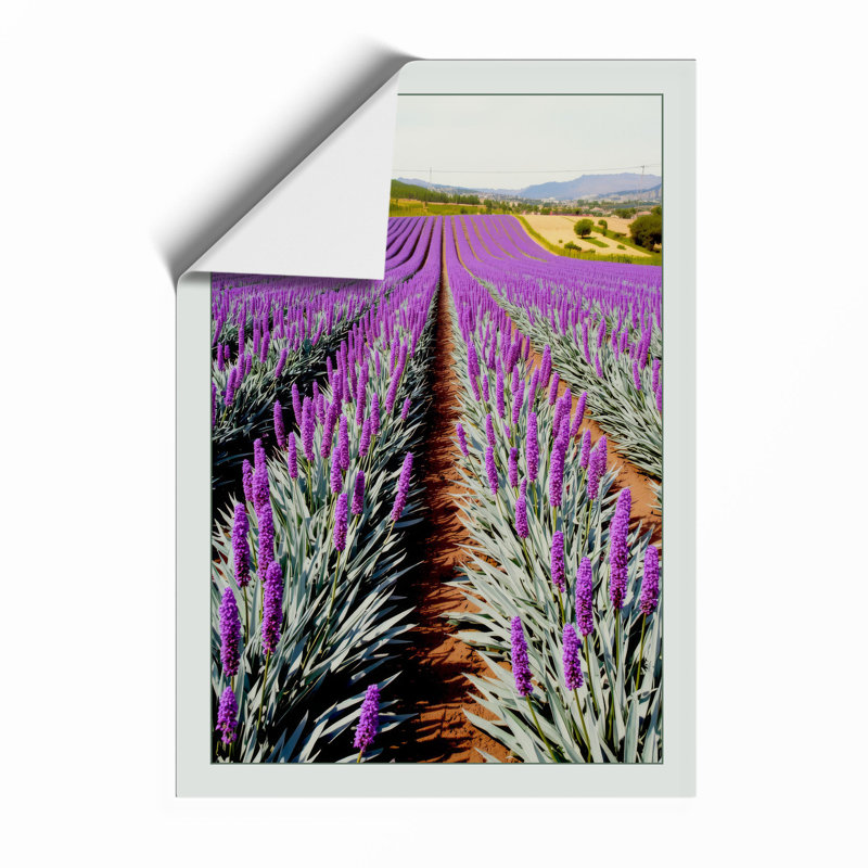 Lavender Fields Botanical - Framed Print, A2 - 59.4 x 42.0 cm, Unframed