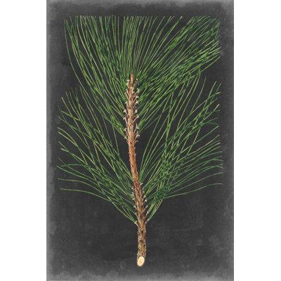 «Dramatic Pine I», peinture sur toile