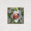 Art mural en métal luxueux «Ladybug Spring 1» par Momart-106415887