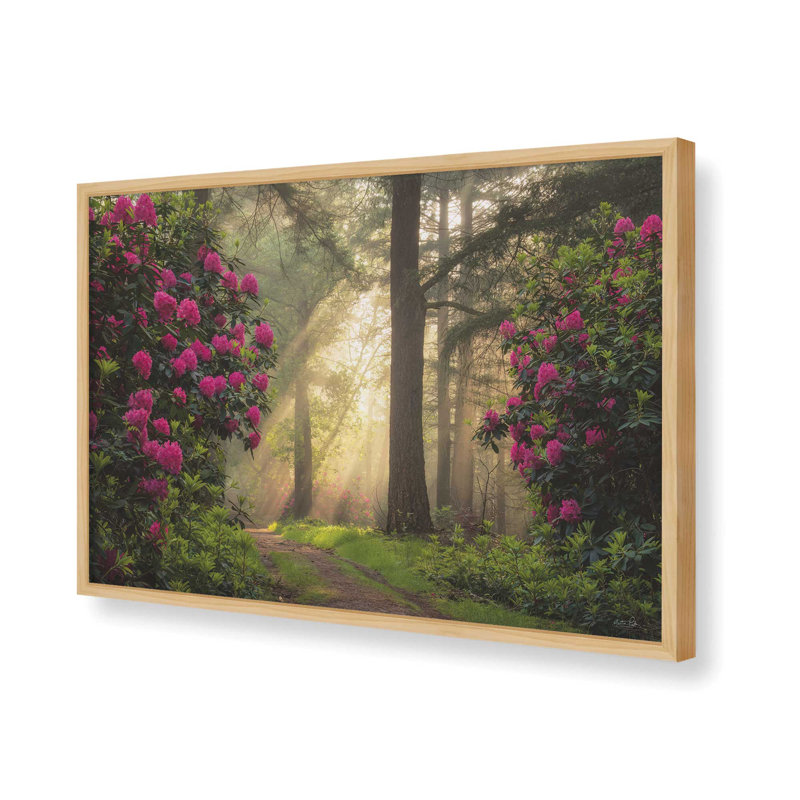 «Enchanted Path I» par Martin Podt, reproduction d'art, 12 W x 8 H, Tan, Framed Print