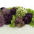 Multi Color Assorted Sedum in Planter-1075619743-1075619712