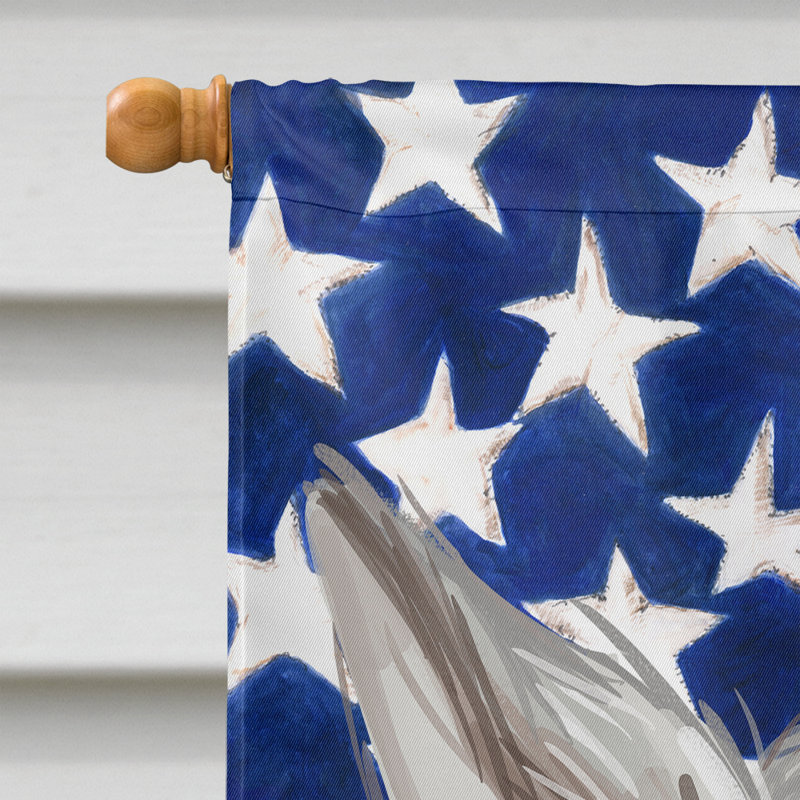 Polyester à 2 côtés 28 x 40 po drapeau maison, Laïka de Sibérie occidentale