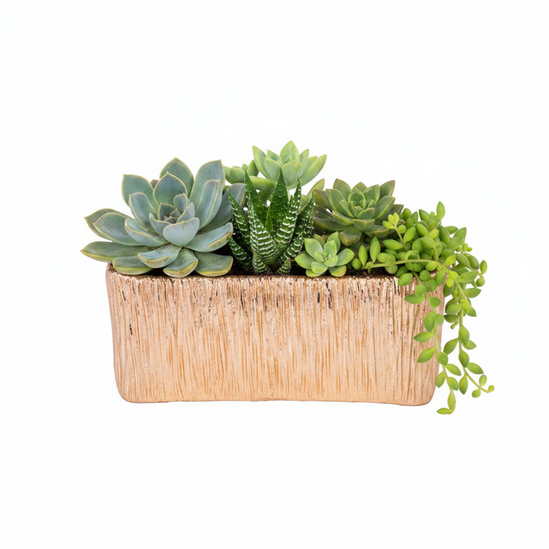 Rita Rectangular Embossed Planter - Large, Gold