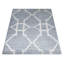 Tapis d'intérieur rectangulaire en laine gris pâle et blanc, noué à la main, à motif géométrique.-1765111640