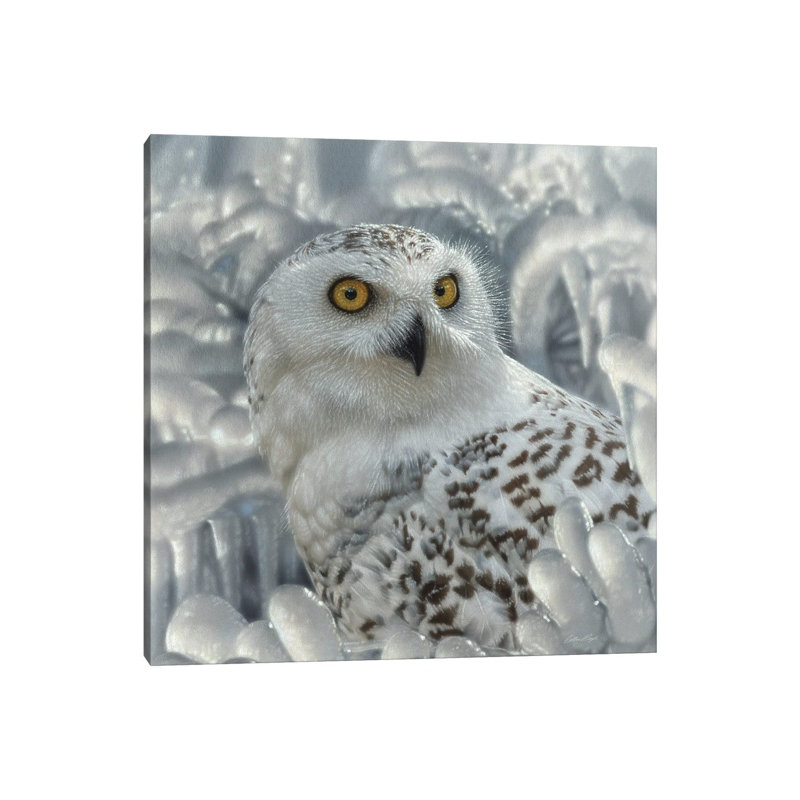 Snowy Owl Sanctuary by Collin Bogle - Wrapped Canvas Print, 30.48cm H x 30.48cm W x 1.9cm D